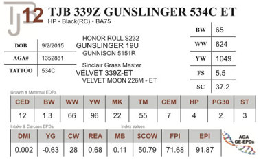 Lot 12 - TJB 339Z GUNSLINGER 534C ET